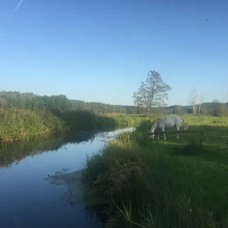 Dom wakacyjny Leśne Zacisze *