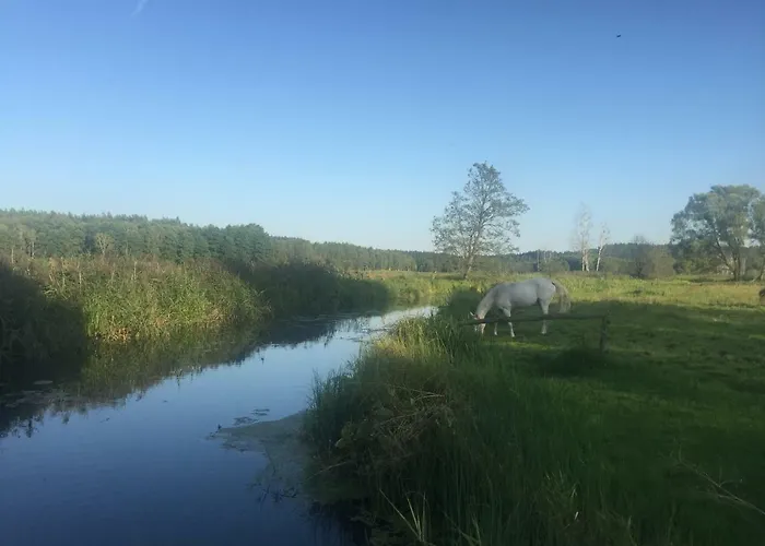 Holiday home Lesne Zacisze *